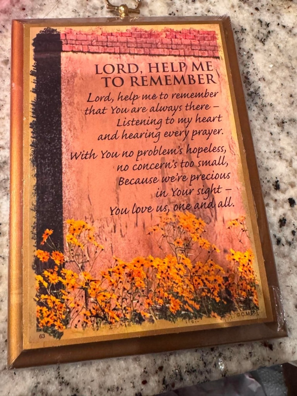 Framed Inspirational Wall Art with Orange Floral Accent New in plastic
5”x7”